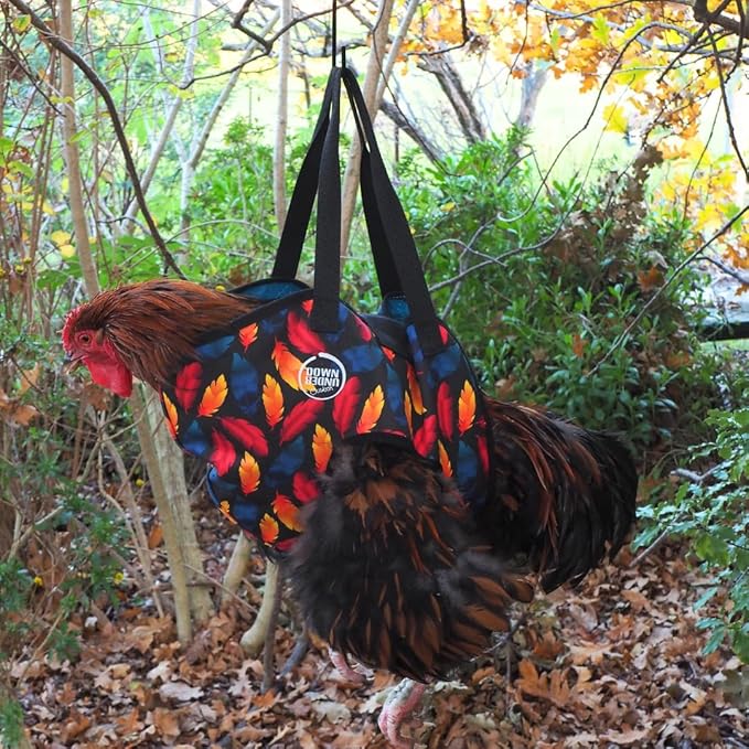 DOWN UNDER OUTDOORS Chicken Carrier Sling Holder Bag with Handle, Chicken Accessories for Foot Treatment, Medic, Leg Injuries, Bumblefoot, Poultry Farm Carrying, Transport, Three Sizes (Large)