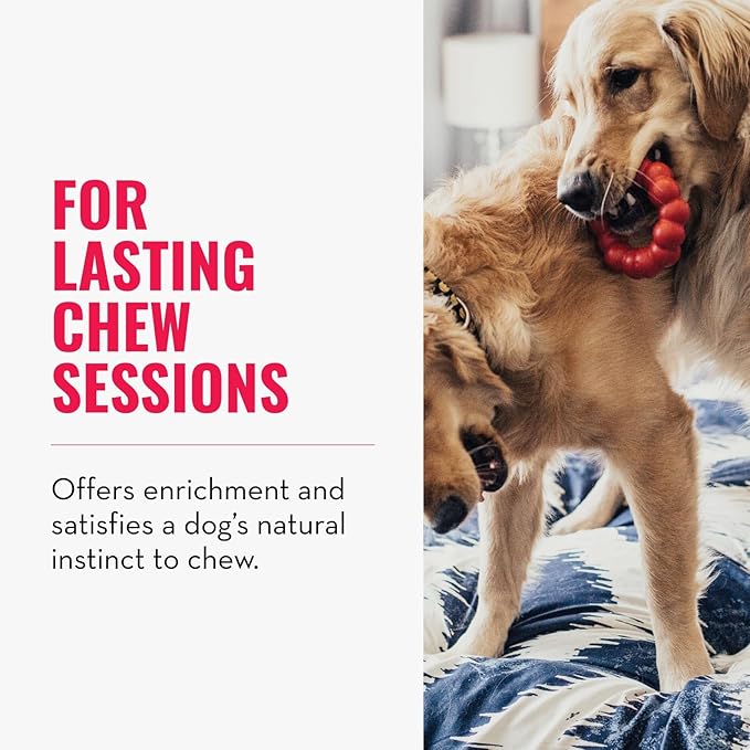 KONG Ring - Natural Rubber Ring Toy for Healthy Chewing Habits - Chew Toy Supports Dog Dental Health - Dog Toy Supports Instincts During Playtime - for Medium/Large Dogs