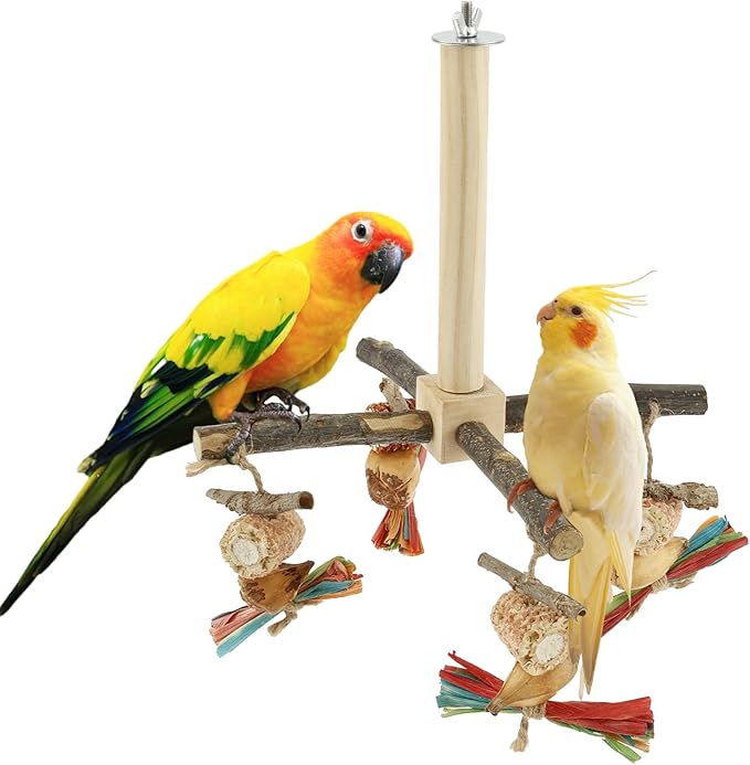 Agape Rotating Parrot Perch Toy with Chew Toy - Natural Wooden Perch Stand, 360° Rotatable Parrot Exercise Standing Perch, Bird Cage Accessories for Small and Medium Sized Birds (String Bite Style)