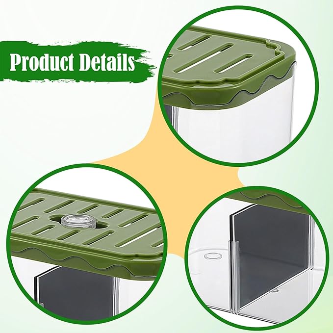 Aquarium Breeding Box Tabletop Fish Tank Versatile Acclimation Hatchery with Removable Divider for Guppy Betta Desk, Green