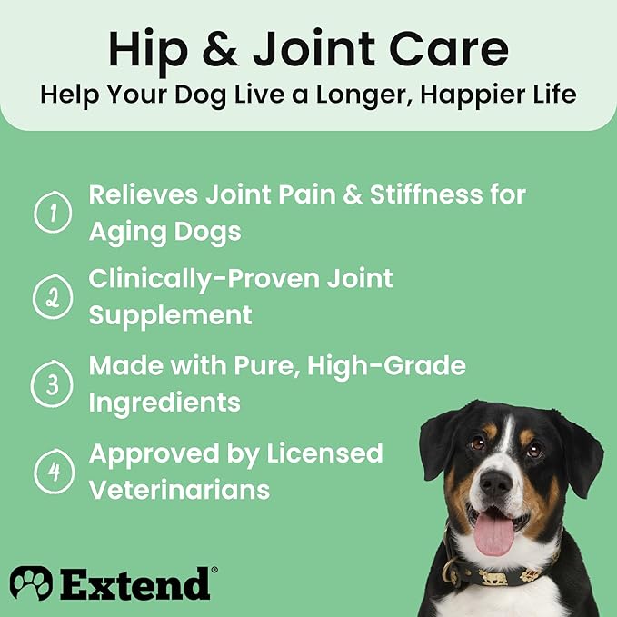 Extend Joint Care for Dogs Beef Flavored Joint Supplement Powder Packets with Glucosamine, Chondroitin, MSM & Collagen, Hip & Joint Support, Mobility & Cartilage Health, Daily Dog Supplement, 60 Count