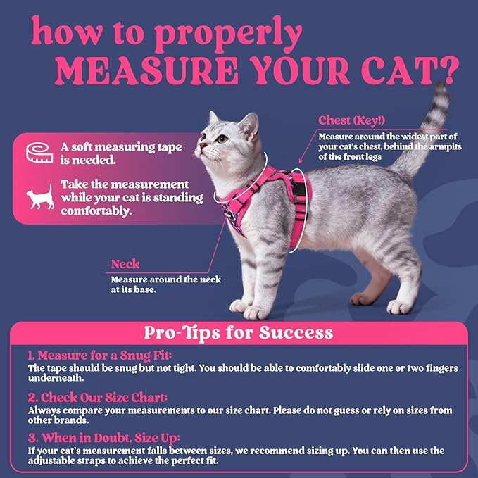 rabbitgoo Cat Harness and Leash for Walking, Escape Proof Soft Adjustable Vest Harnesses for Cats, Easy Control Breathable Reflective Strips Jacket, Coconut Fuchsia,M