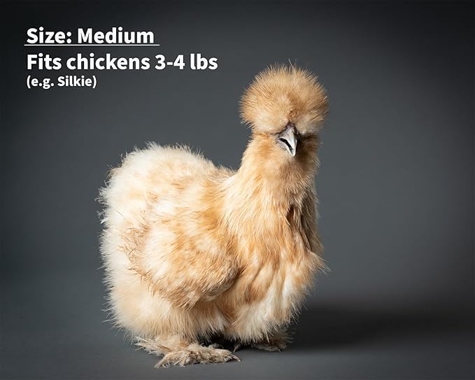 Chicken Diapers Duck Diaper Diaperalls for Hens, Roosters, Ducks, Ducklings - Reusable, Adjustable by Uni Infinity (Black Floral, Chicken Medium, 1, Count)
