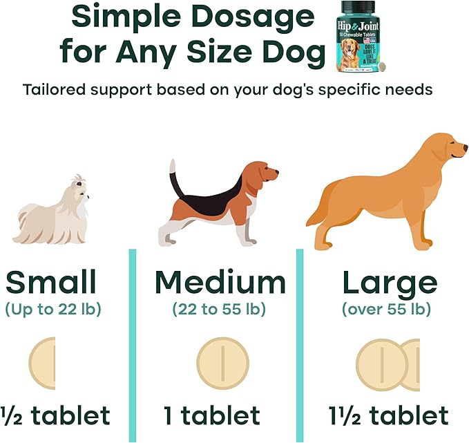 Natureflow Hip and Joint Supplement for Dogs, Arthritis Dog Joint Supplement with Green-Lipped Mussel, Glucosamine, MSM & Chondroitin, Zero Sugar Chewable Pills, Made in USA, Large Medium Small Breeds