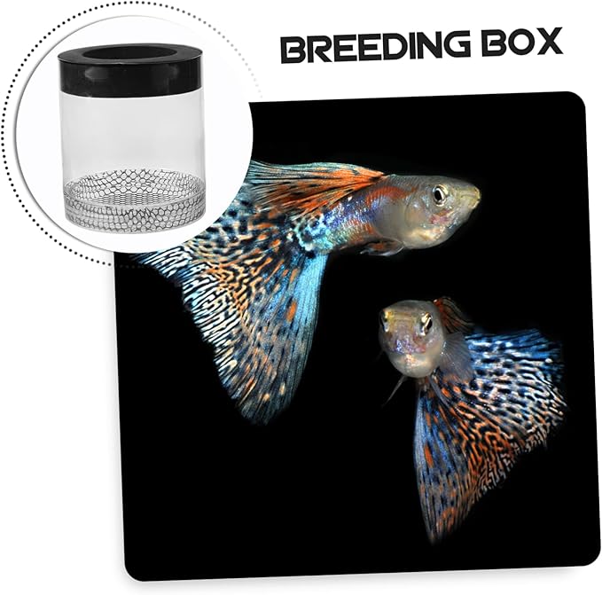 Fish Tank Hatching Box Floating Breeding Box Survival Rate Enhancer for Baby Fry Fish