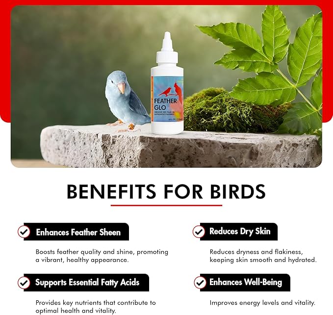 Morning Bird Feather Glo 4 oz – Cold Pressed Red Palm Oil - Natural Vitamin A & E Supplement for Birds – Supports Feather Shine, Skin Health & Immunity – Vitamin & Energy Boost for All Bird Types