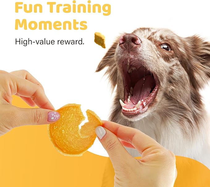 iPaw 5 Stock-Up Combo Turkey Chips Dog Treats for Puppy Training, All Natural Human Grade Dog Treat, US Sourced Raw Material, Hypoallergenic, Easy to Digest (Turkey Chips), 5 Packs