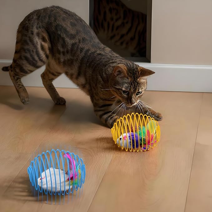 Jecery 5 Pcs Cat Spring Balls Toys Stretchable Rolling Balls Colorful Playful Coils Interactive Action Toy Caged Rats for Kitten Pet Supplies (Cute Mouse,Bright Color)