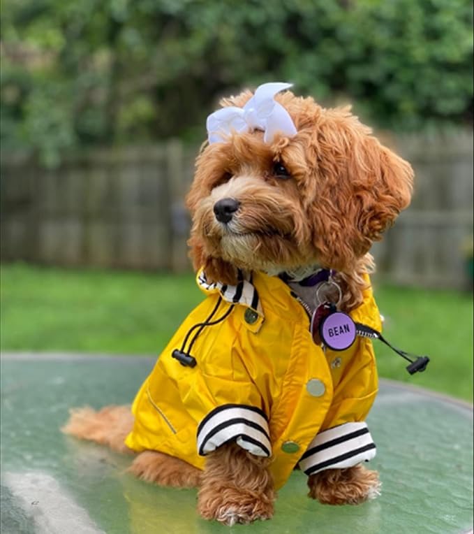 Morezi Dog Zip Up Raincoat with Reflective Buttons, Rain/Water Resistant, Adjustable Drawstring, Removable Hood, Raincoats with Legs 8lbs to 80lbs Available - Yellow - XS