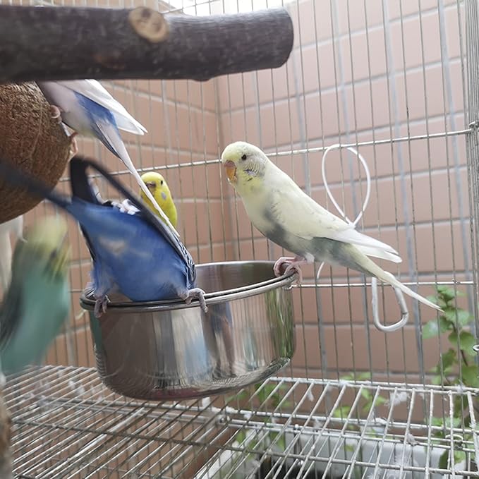 8 pcs Bird Feeding Dish Cups, Parrot Stainless Steel Food Bowl Cage Water Feeder with Clamp Holder for Parrots Cockatiel Budgies Lovebird Parakeet Feeding Cups with 8 Spoon