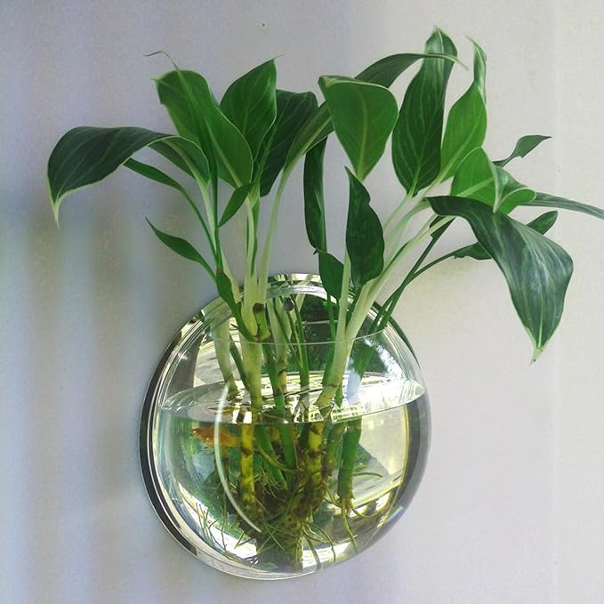 Transparent Wall Mounted Fish Tank 7.68In Hanging Aquarium Bowl for Home Decor Space-Saving Clear Acrylic Fish Aquarium and Plant Display