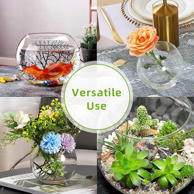MANON ROSA Turtle Bowls Round Ecological Tank Container Clear Aquarium Habitat Small Desktop Home for Hydroponic Plants Fish Starter Choice (L(9.8" D))