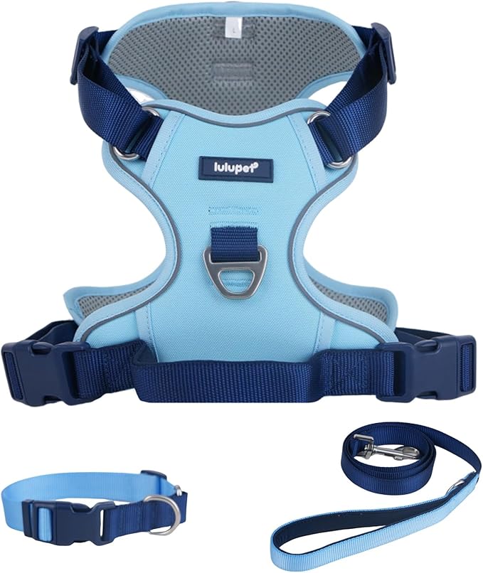 No Pull Dog Harness Leash and Collar Set, Soft Adjustable Dogs Vest Reflective and Comfortable Handle Blue X-Large