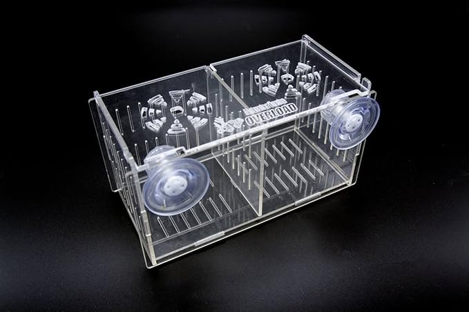 Clear Acclimation Box 8x4x4