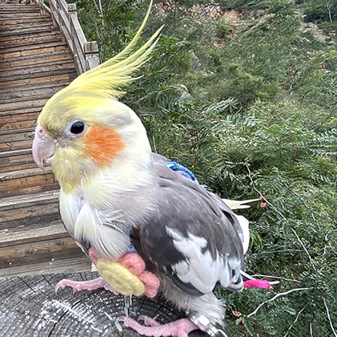 WAYUTO Pet Bird Diapers Cute Sun Flower Parrot Flight Suit with Elastic Strap Harness Equippable Washable Liners Cockatiel Clothes Nappy Light Weight Warm for Small Birds Cosplay Photo Prop