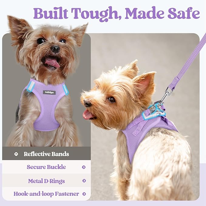 rabbitgoo Dog Harness Small Sized and Leash Set, Step in Soft Light Puppy Vest, Breathable Mesh Pet Harness, Reflective for Safe Easy Walking, Light Purple S