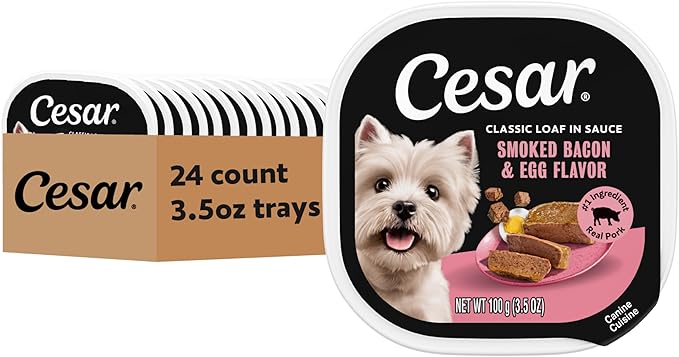 Cesar Classic Loaf in Sauce Adult Wet Dog Food Bacon & Egg Flavor, 3.5 oz. Easy Peel Trays, 24 Count (Pack of 1)