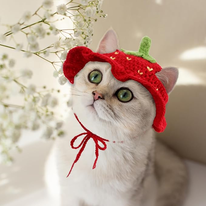 Strawberry Cat Hat, Cotton & Soft Cute Knitted Hats for Cats Strawberry Crochet Cat Hats for Cats Only Cute Puppy Hat for Small Pets on Christmas Birthday Party Halloween (Red, S)