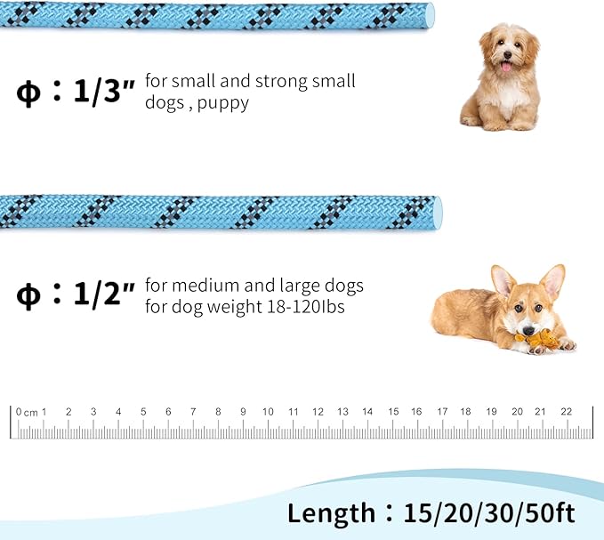 Long Dog Leash for Training 50Ft-Reflective Nylon Rope with Swivel Hook-Recall Agility Lead for Large Small Medium Dogs Outside Walking Hiking-Sky Blue