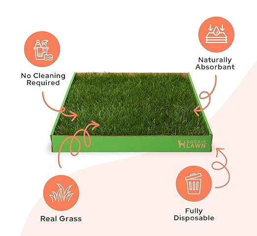 DoggieLawn Real Grass Puppy Pee Pads- 24 x 9 Inches - Perfect Indoor Litter Box for Dogs - No Mess, Easy-to-Use - Potty Training for Pets - Eco-Friendly Disposable Bathroom with Real Living Grass
