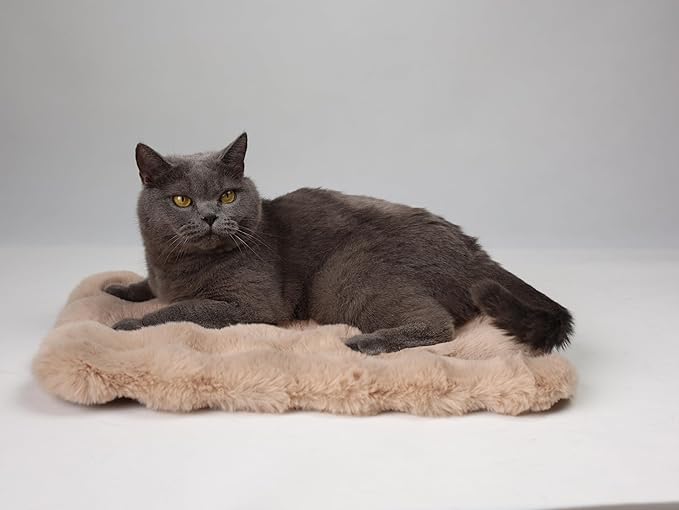2 in 1 Large Woven Rattan Cat Couch Bed with 19x 14'' Removable Plush Pad Mat, Pet Sofa for Indoor Elevated Cat Beds Suitable for Kitty, Puppy or Small Animal (Supports 33 lbs)