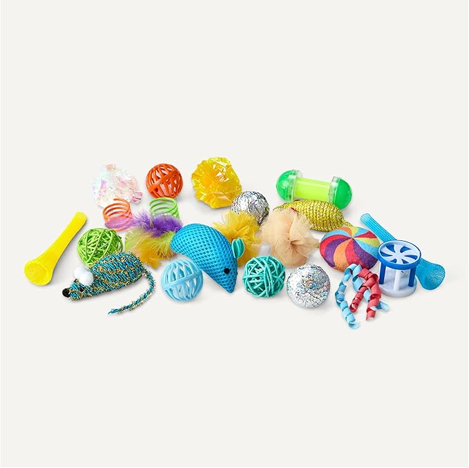 Amazon Basics Cat Toy Set, 20 Piece Variety Pack with Teaser, Ball, Feather, Spring