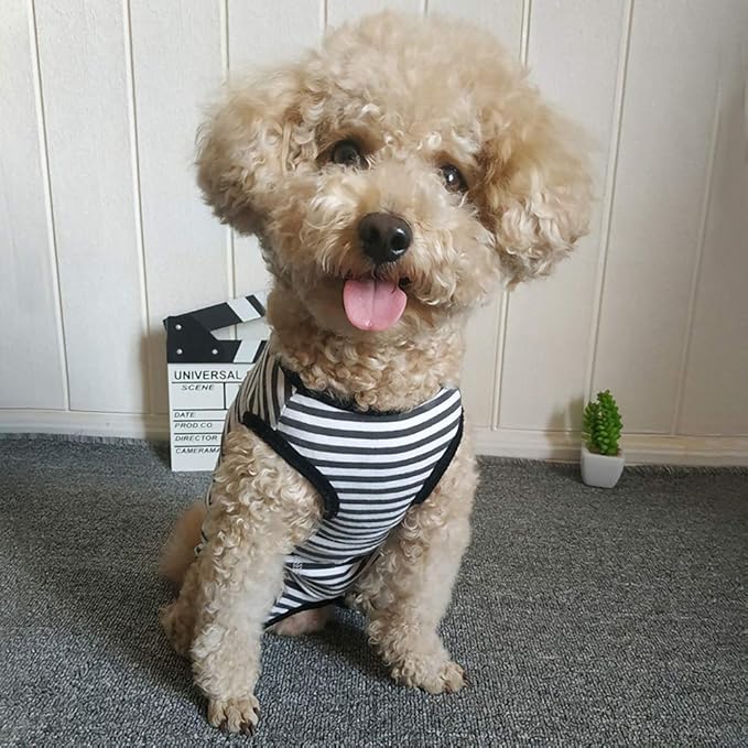 Dog’s Recovery Suit Post Surgery Shirt for Puppy, Wound Protective Clothes for Little Animals(Black White Stripe-xs)