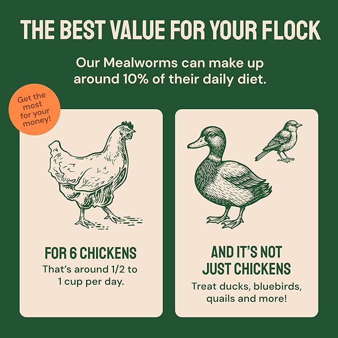 Hatortempt 20lb Dried Mealworms for Chickens - 50% Protein and 32% Essential Fats to Support Healthy Feather Growth During Molt - Organic Treats for Chickens, Ducks, Wild Birds & Reptiles