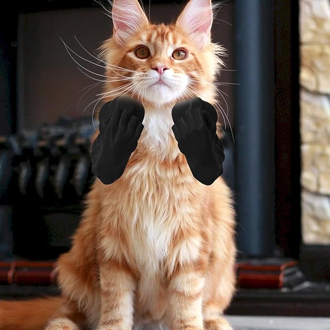 Creative Cat Muscle Arms,Halloween Cat Costume Accessory,3D Printed Cat's Neck Arms with Muscle,Funny Muscle Arms for Cats,Pet Costume for Kitten Birthday Party Supplies (Black)