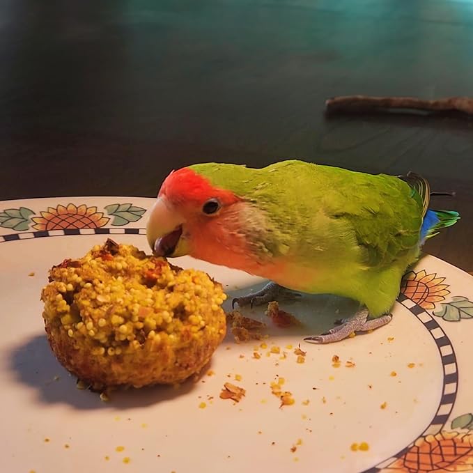 Organic Birdie Bread Mix for Parrots with Bird-Safe Pan, Human-Grade Ingredients, Easy Homemade Parrot Treats for Diet Variety & Enrichment