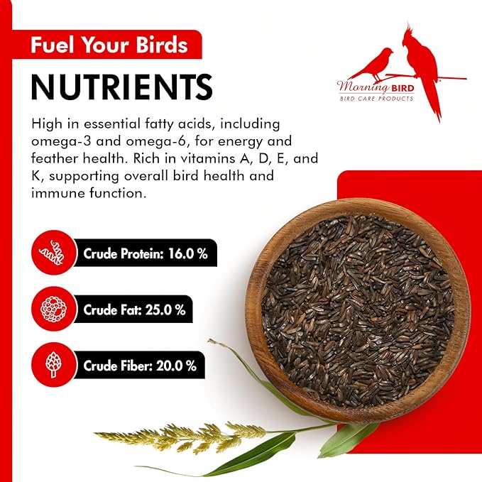 Morning Bird Nyjer Seed for Birds 9 lbs – Energizing Nutrition with Rich Natural and Healthy Fats – Ideal Bird Food for Breeding & Molting – Great for Canaries, and Other Seed-Eating All Birds