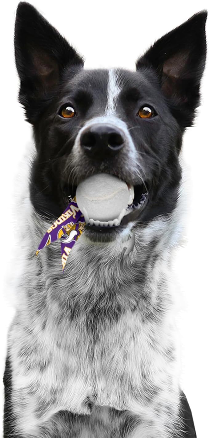 Littlearth NFL Pet Ball Launcher