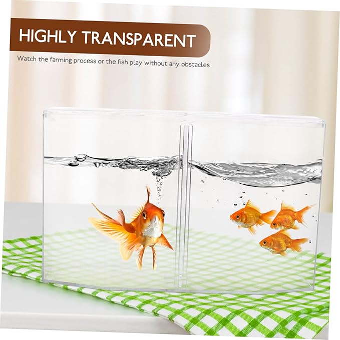 Box Transparent Fish Breeding Tank Clear Incubation Box with Dual Compartments for Isolation and Observation Safe Material Easy to Clean for Goldfish Care