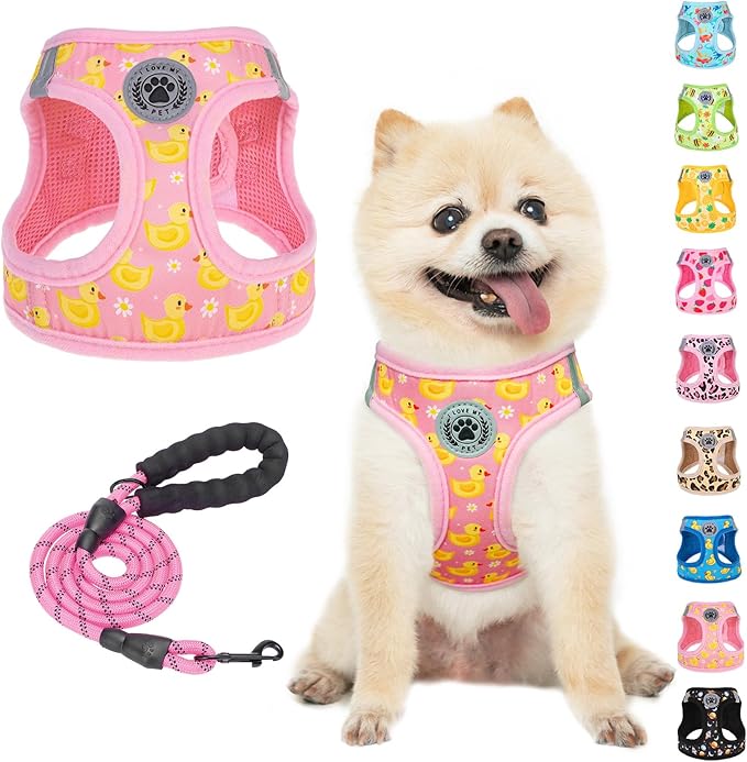 BEAUTYZOO Dog Harness Small Sized and Leash Set, Step-in Soft Padded Mesh Puppy Vest, Reflective Dog Harness No Pull No Choke, Breathable Easy Walking Vest Harnesses for Girl Boy Pets,Pink Ducks S