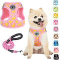 BEAUTYZOO Dog Harness Small Sized and Leash Set, Step-in Soft Padded Mesh Puppy Vest, Reflective Dog Harness No Pull No Choke, Breathable Easy Walking Vest Harnesses for Girl Boy Pets,Pink Ducks S