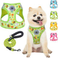 BEAUTYZOO Step in Dog Harness and Leash Set,Reflective Dog Harness No Pull No Choke Puppy Harness for Small Medium Large Dogs Cats,Soft Padded Mesh Vest Harnesses for Girl and Boy Pets, Bee M