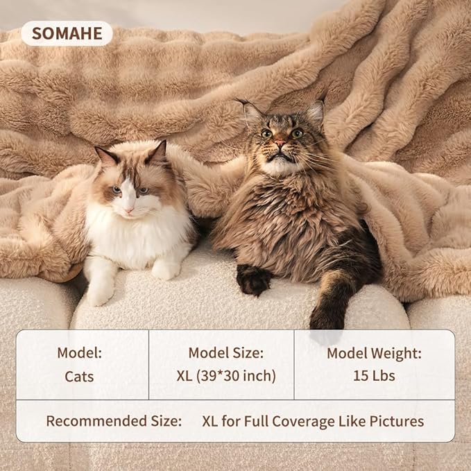Self-Warming Cat Blanket for Indoor Cats & Small Dogs, Dual-Side Sherpa Plush Throw, Anti-Static Shared Couch Mat for Crate & Travel, Machine Washable No Shrink, 28x22 Inch Coffee