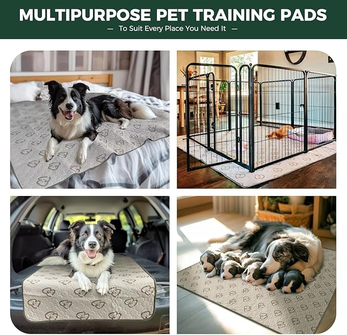 FXW Washable Pee Pads for Dogs, Puppy Pads with Super Absorbent, Specifically Designed for FXW Rollick/Homeplus 24inch 6 Panels Dog Playpen, 39" x 63" Rectangle, Khaki, 1 Pack
