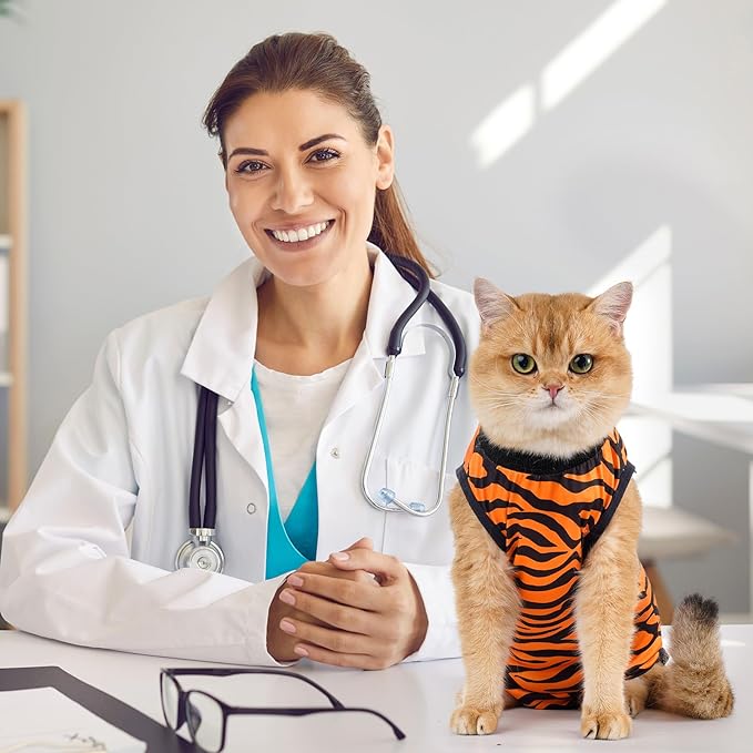 Avont Cat Recovery Suit - Kitten Onesie for Cats After Surgery, Cone of Shame Alternative Surgical Spay Suit for Female Cat, Post-Surgery or Skin Diseases Protection -Tiger(L)