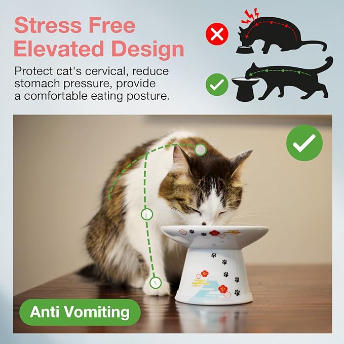 Necoichi Raised Cat Food Bowl – Ceramic Elevated Cat Bowl for Whisker & Neck Fatigue, Dishwasher Microwave Safe – Non-Slip & Anti Vomiting Ergonomic Design (Fuji, Extra Wide, 2-Cups Capacity).