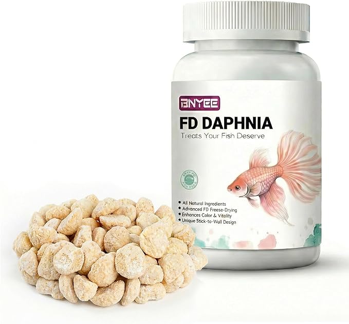 All Natural Tropical Fish Food for Small to Medium Sized Saltwater & Freshwater Fish - Betta Guppy Discus Cichlids Discus Goldfish Angel Fish (Daphnia)