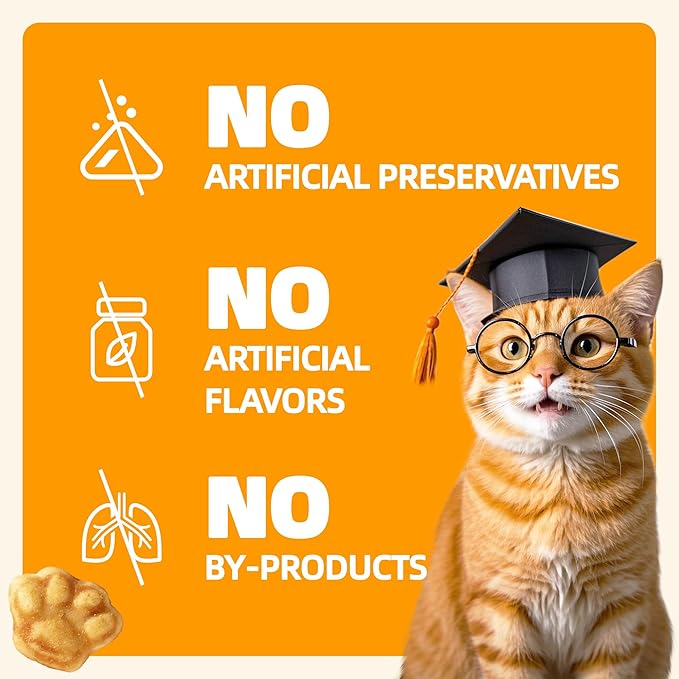 Wellix 13.05oz Healthy Cat Treats Pumpkin Flavor - Chicken Formula Stomach Sensitive Kitten Snacks for Digestive Support - Cat Constipation Relief Low Calorie Food Topper for Cats
