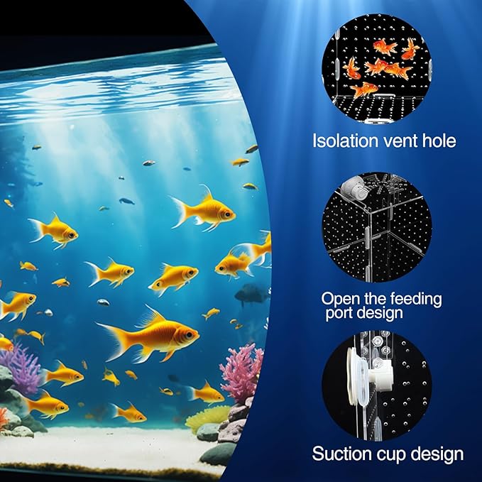 Acrylic Fish Breeding Box for Tank, 5.9×5.9×5.9in Fish Breeder Box for Aquarium with Suction Cups, Aquarium Breeding Box with Coral for Small Baby Fishes Shrimp Clownfish