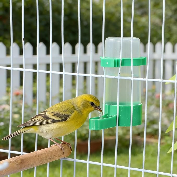 30 pcs Bird Water Dispenser: Budgie Perky Bottle Bowls Cage Feeder Birds Clips Small Cage, Budgie Food Feeders Plastic No Waterer, Wild Bowl Leak Food Doves Bottles Poultry Quail Accessories Baths