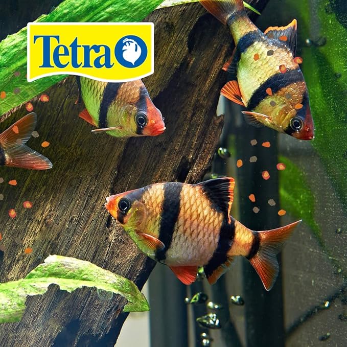 Tetra 77181 TetraFin Goldfish Crisps, 7.76-Ounce , 1-Liter