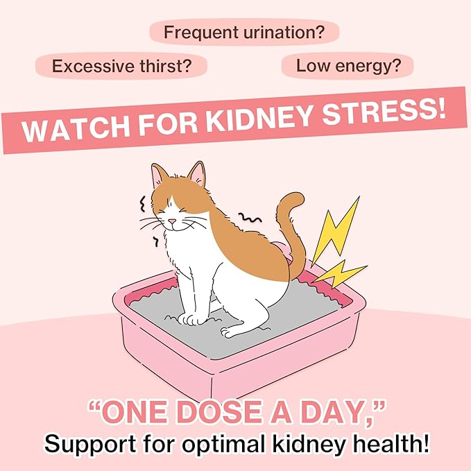 Doctor By UT Care Cat UTI Kidney Support Urinary Supplement Cranberry Treatment for Cats Renal Health with Pacran, Quercetin, Taurine lickable Formula Individually Packaged (1 Pack)