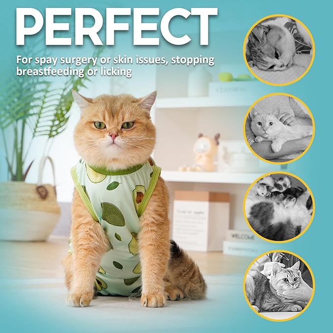 Avont Cat Recovery Suit - Kitten Onesie for Cats After Surgery, Cone of Shame Alternative Surgical Spay Suit for Female Cat, Post-Surgery or Skin Diseases Protection -Avocado(M)