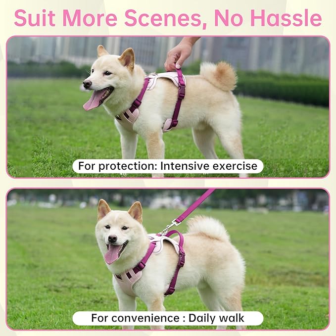 No Pull Dog Harness Leash and Collar Set, Soft Adjustable Dogs Vest Reflective and Comfortable Handle Pink X-Large