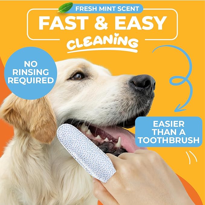 Dog & Cat Teeth Cleaning Wipes - Dental Finger Wipes for Cats & Dogs - Pet Toothbrush & Tooth Brushing Kit - Effective Teeth Cleaner (Mint)