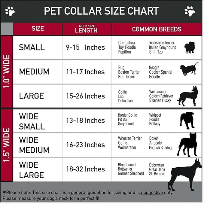 Initial Letter Cuban Chain Dog Chain Pet Chain Pet, Cat, Puppy Necklace (R, 30")